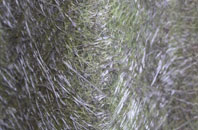 Rhos Y Garth fibreglass roof work